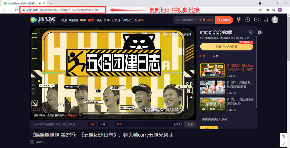 vip视频解析使用教程